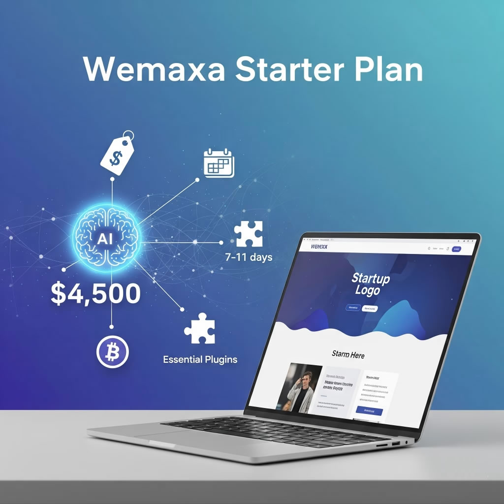 Wemaxa starter web design plan